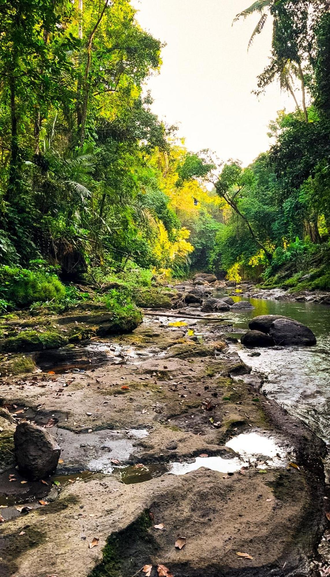 מלון קנגו Nunu Bali Eco Friendly Retreat מראה חיצוני תמונה
