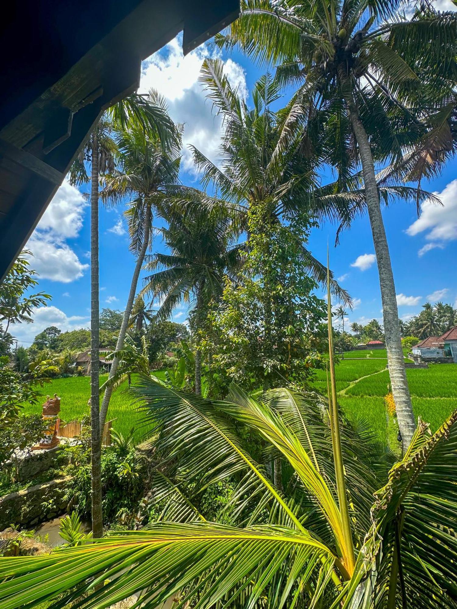 מלון קנגו Nunu Bali Eco Friendly Retreat מראה חיצוני תמונה
