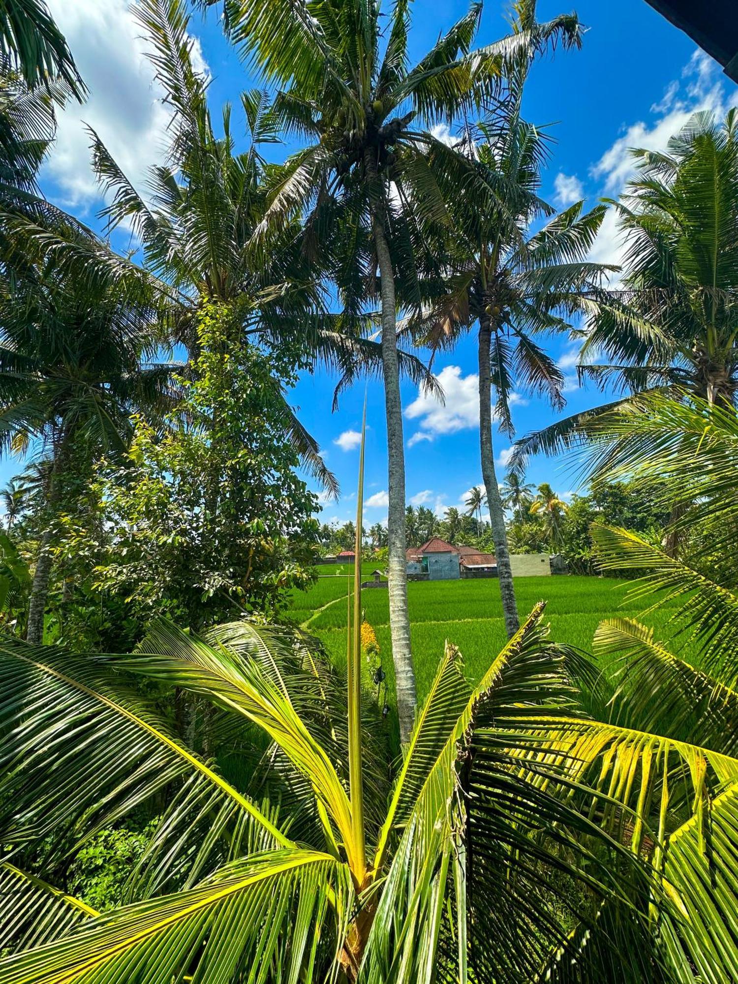 מלון קנגו Nunu Bali Eco Friendly Retreat מראה חיצוני תמונה
