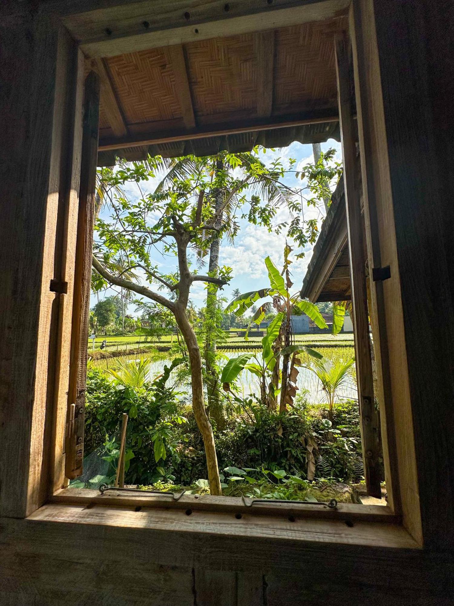 מלון קנגו Nunu Bali Eco Friendly Retreat מראה חיצוני תמונה